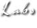 Labs